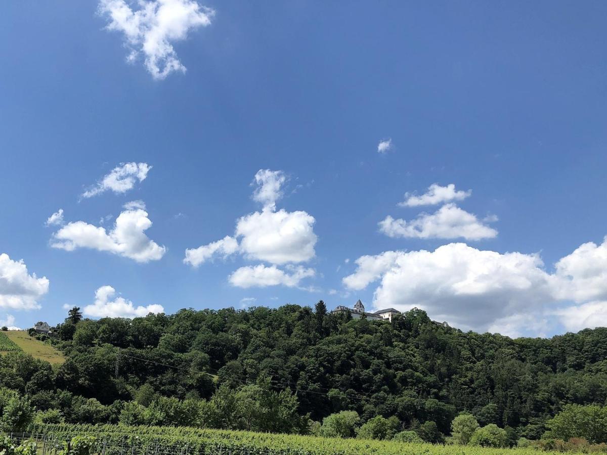 Ferienhaus Moselpromenade Zell an der Mosel Zewnętrze zdjęcie